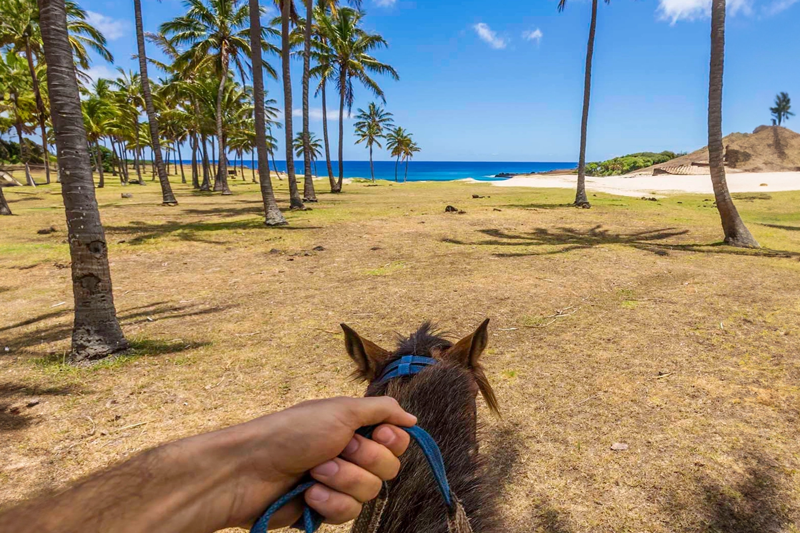 caballo-en-isla-de-Pascua-Atelier-Travel